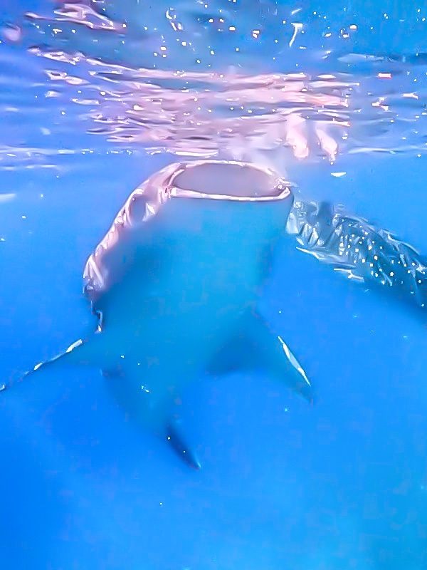 截圖-2025-10-31-00.32.46